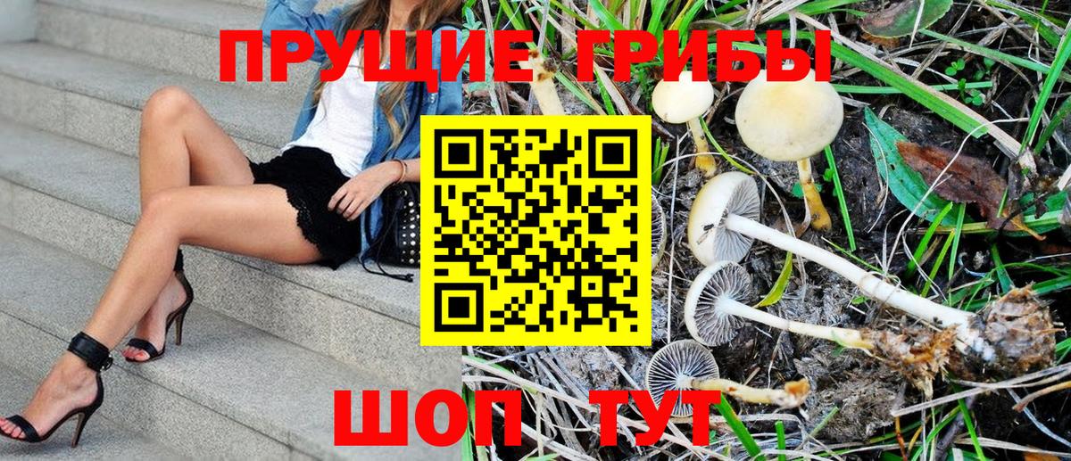 Псилоцибиновые грибы Magic Shrooms  Вход с VPN  Великие Луки 